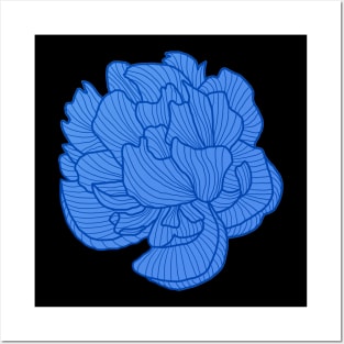 Peony line-art blue/navy Posters and Art